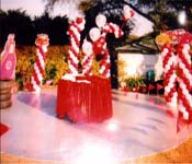 birthday party organisers